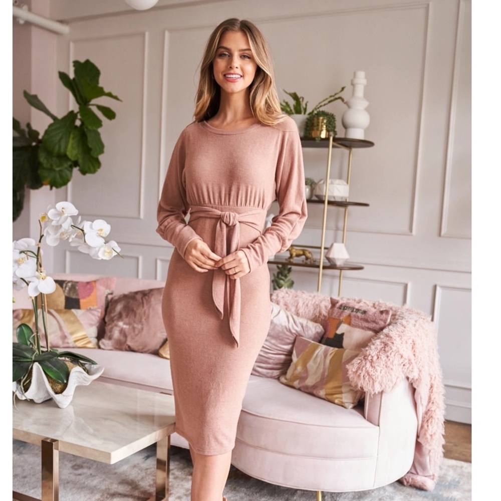 Soft Fitted Belt Dress